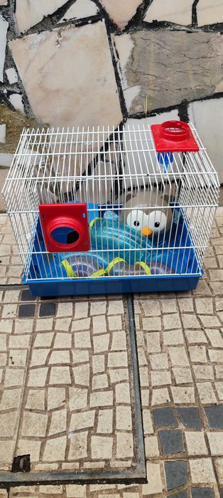 Gaiola para hamster
