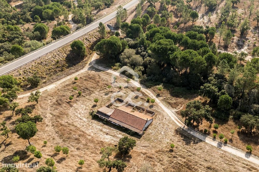 Herdade de 71,7 ha c/ Barragem e Casas de Apoio Agrícola | Mora