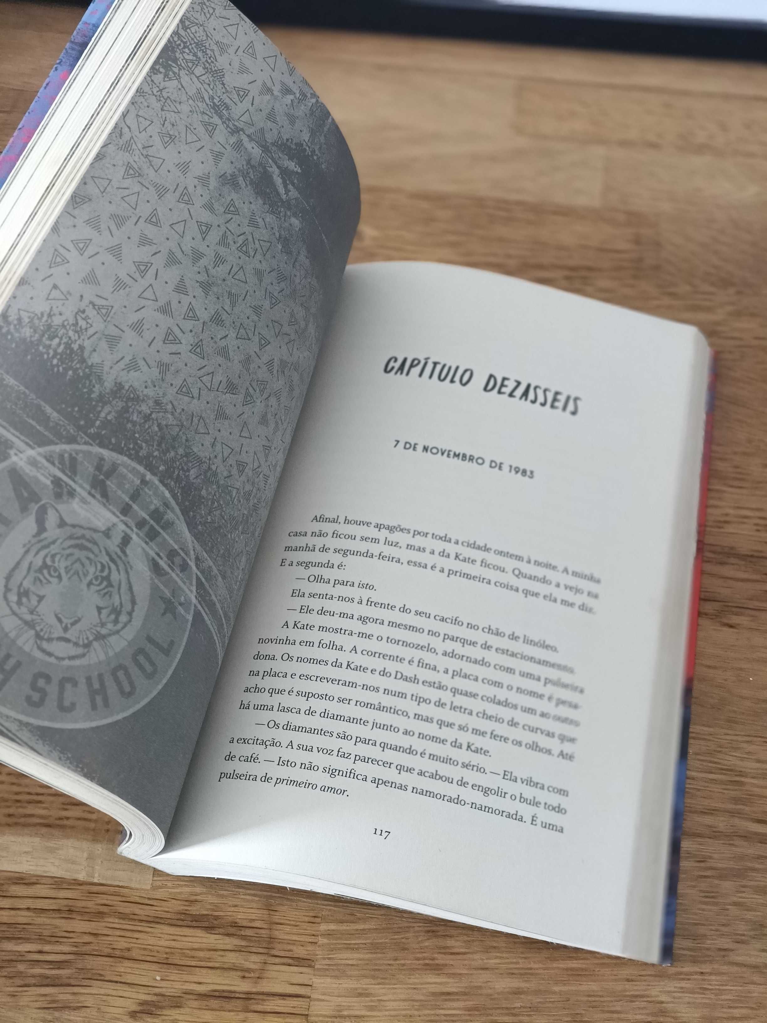Livro Stranger Things - Robin a rebelde