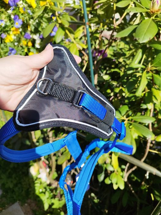 Шлея для собаки Trixie s, m-l , xl-xxl