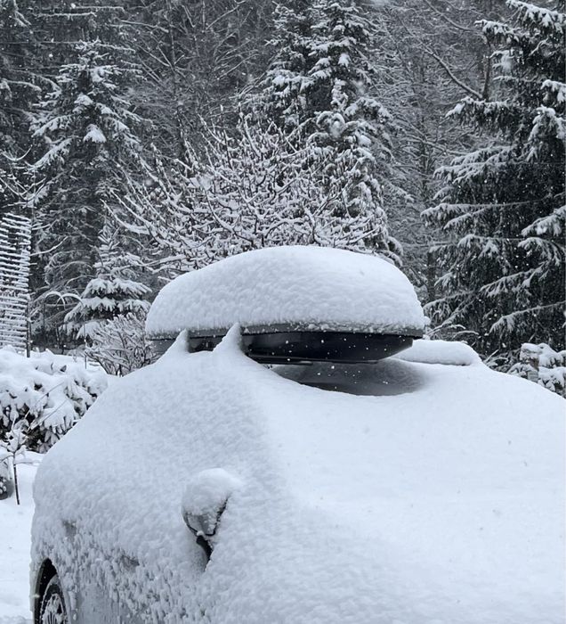 Box dachowy Thule Evolution 500 na narty