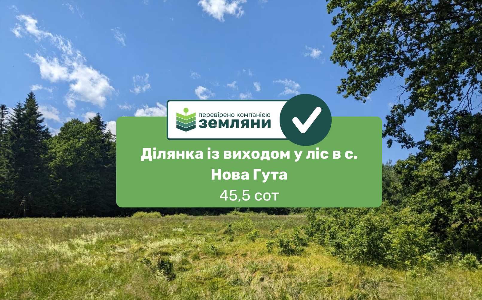 Продаж ділянки із виходом у ліс с. Нова Гута 45.5 сот