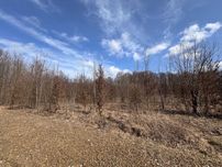 Продається земельна ділянка в с. Якушинці