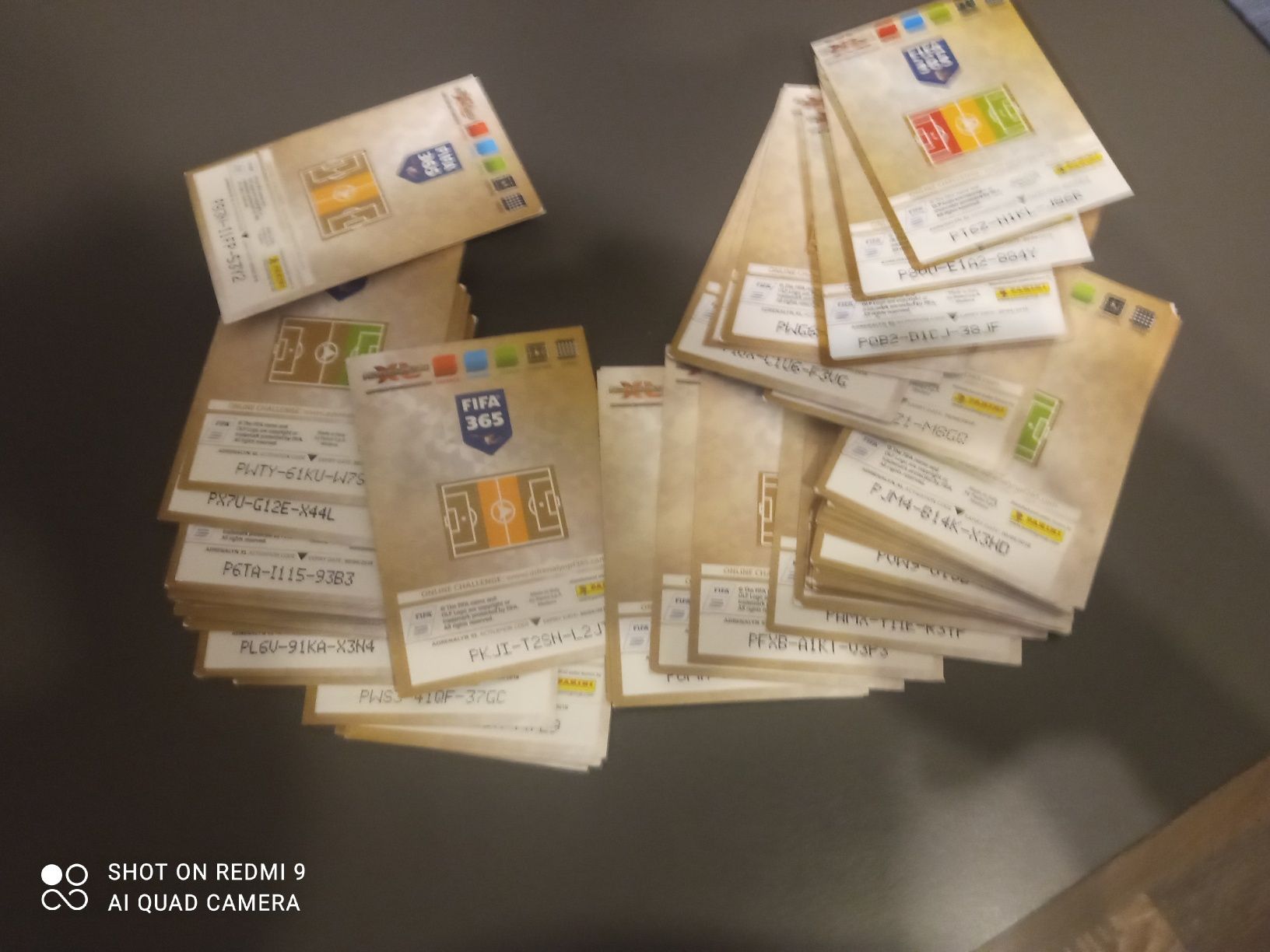 Mystery box Karty panini champion lig