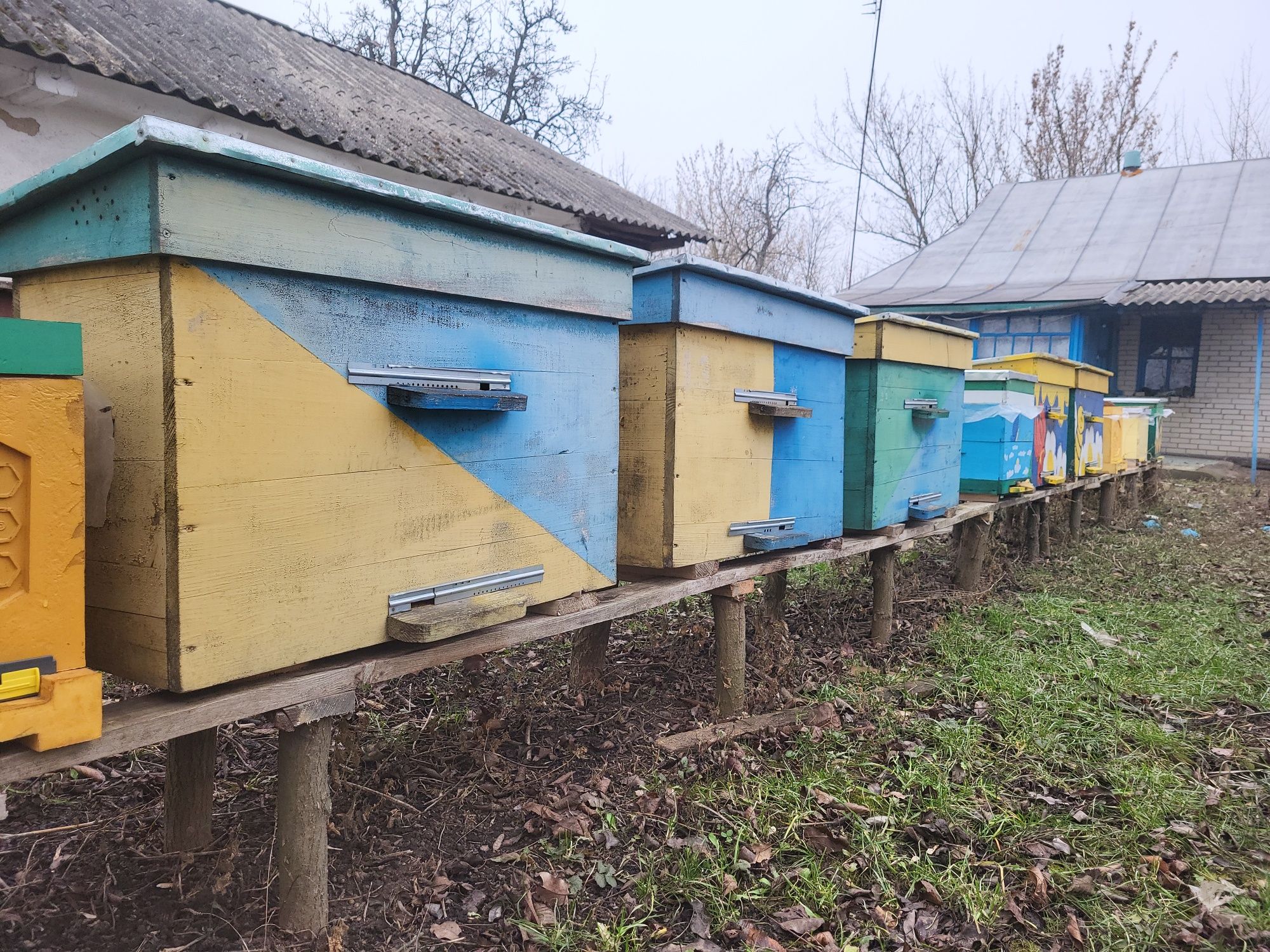 Продам пасіку, вулики.