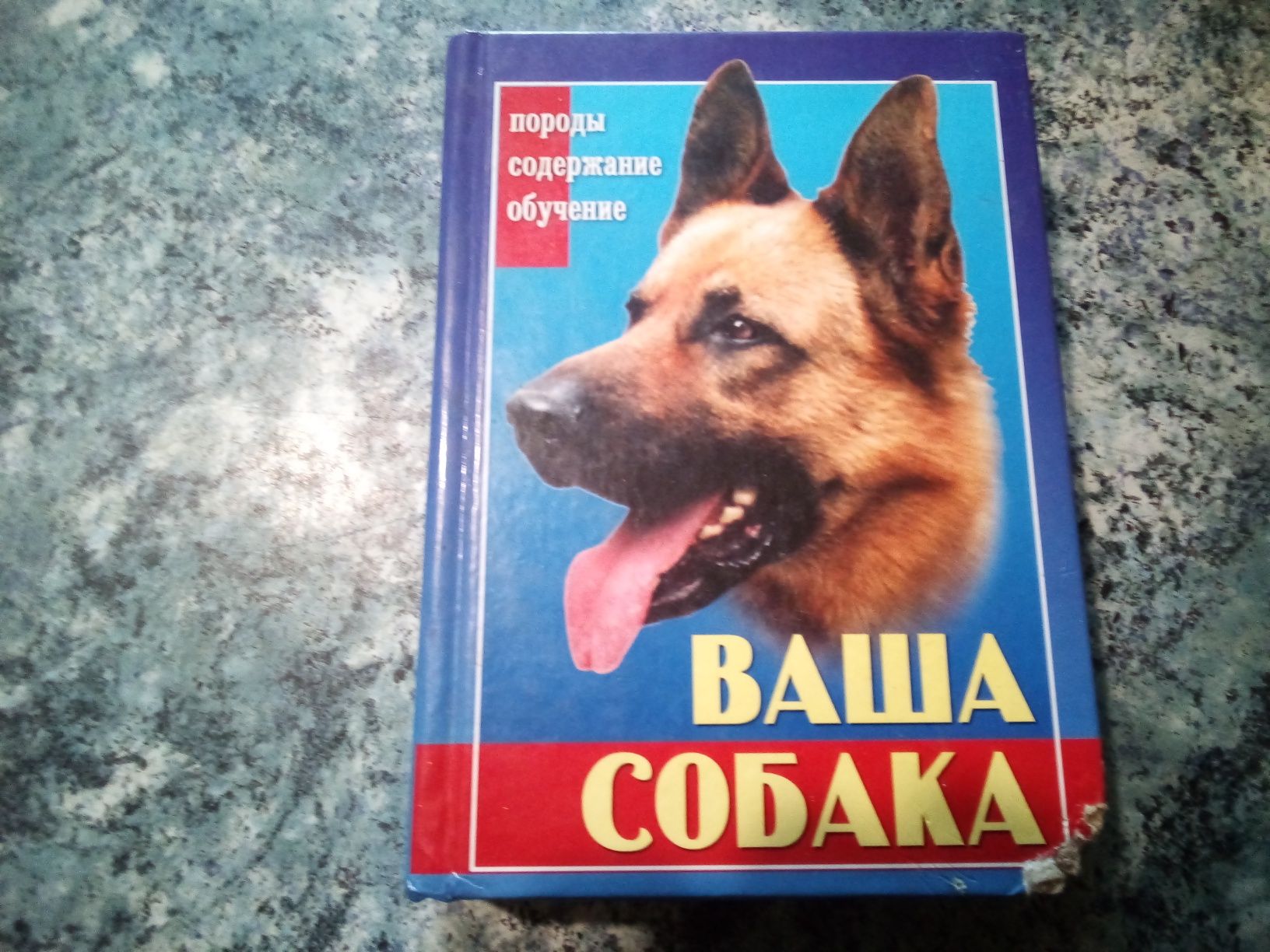 Ваша собака. Книга