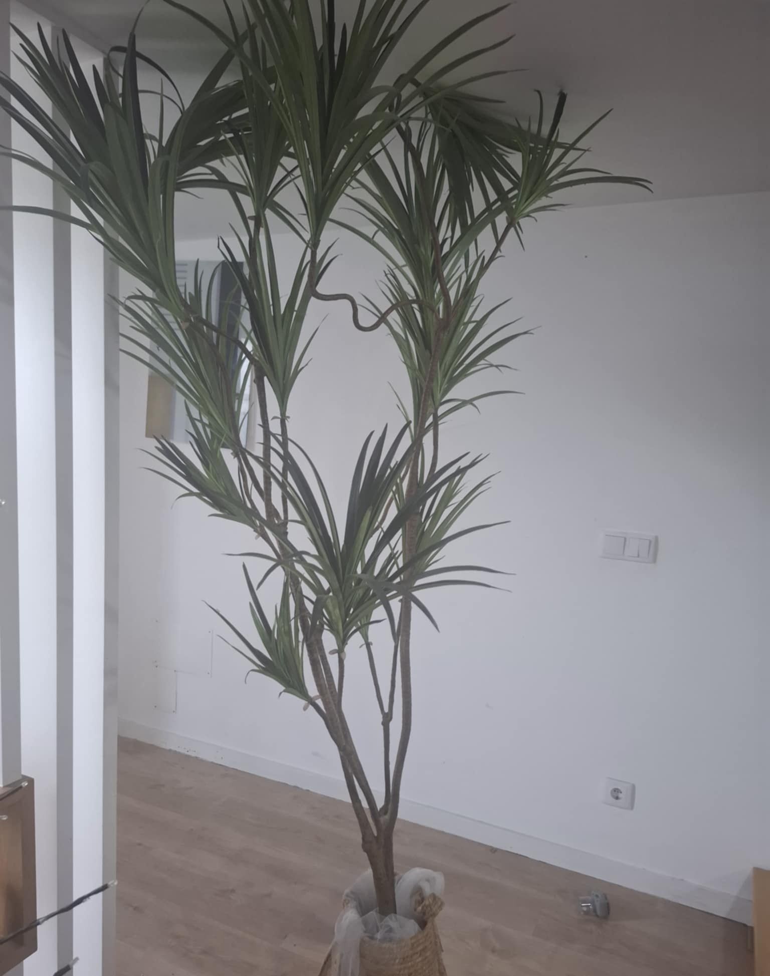 Chaise longue / planta artificial