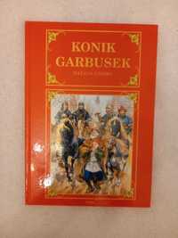 Książka Konik Garbusek