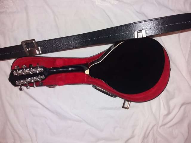 Bandolim de madeira e estojo