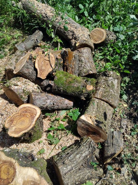 Продаж дров яблуня