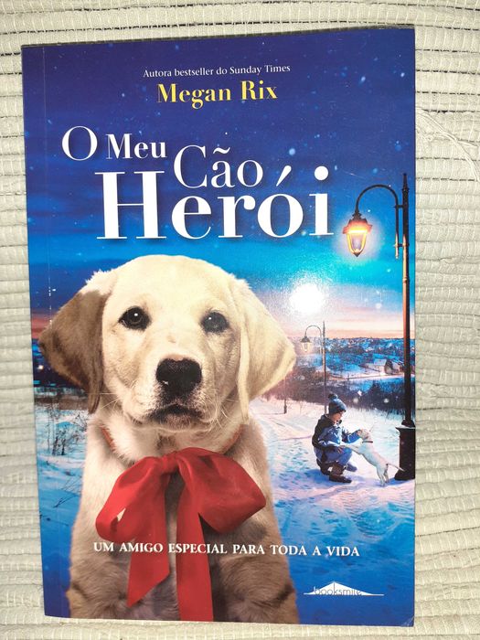 O meu cão herói  Megan Rix