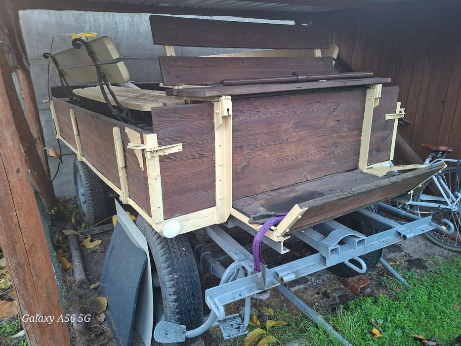 Klacz 5letnia i wóz