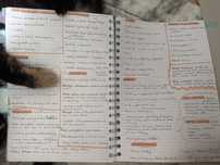 Notatki do matury — Historia
