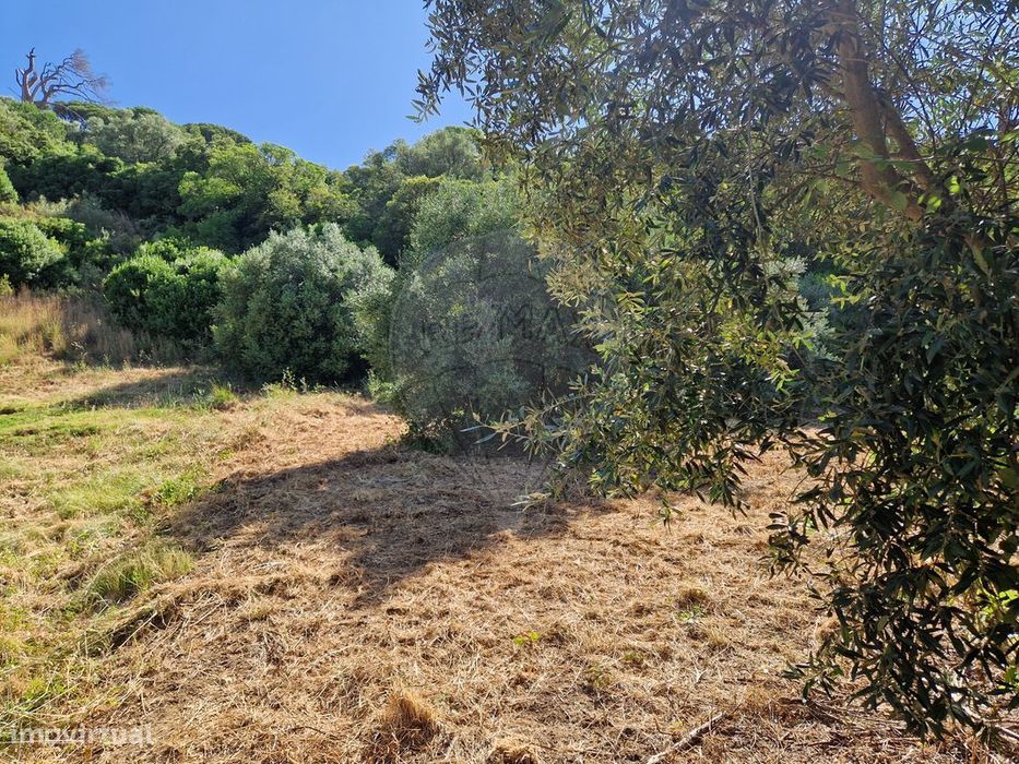 Terreno  para venda
