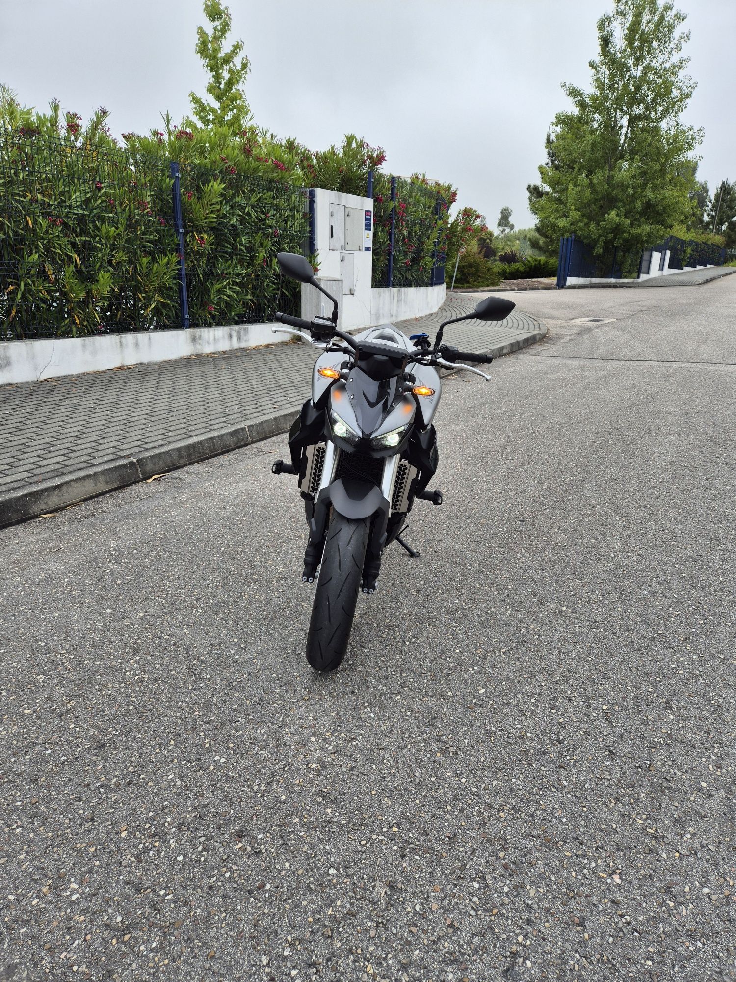 Honda CB 1000 Hornet + SC Project