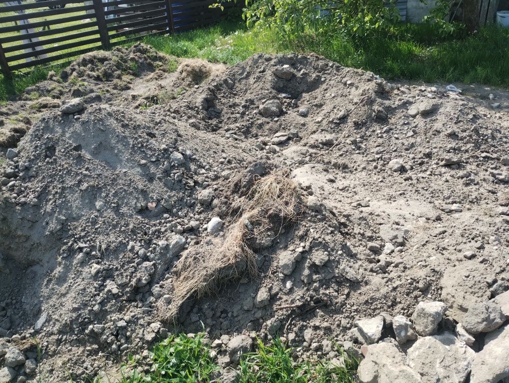 Ziemia Oddam za darmo.