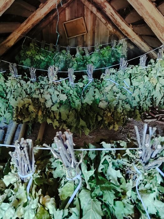 Дубові віники для бані