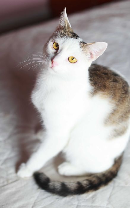 hej, a może właśnie Ty dasz nam wspólny dom?