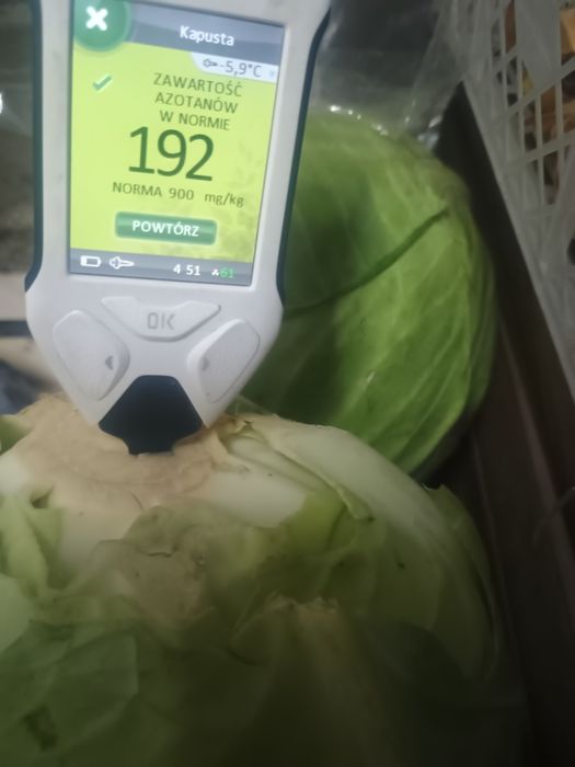 Kapusta ECOszatkowana biała czerw.Warzywa Świeże Swojskie prosto zpola