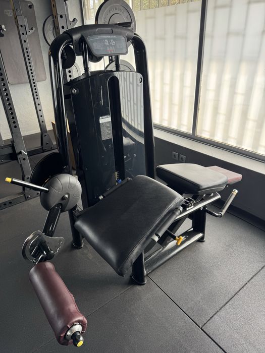 Maquina de musculação extensora e flexora