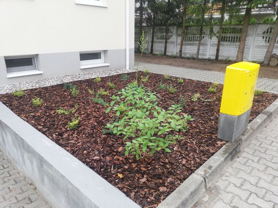 Usługi ogrodnicze. Ogrodnik.  Pielęgnacja,   zakładanie ogrodów,  traw