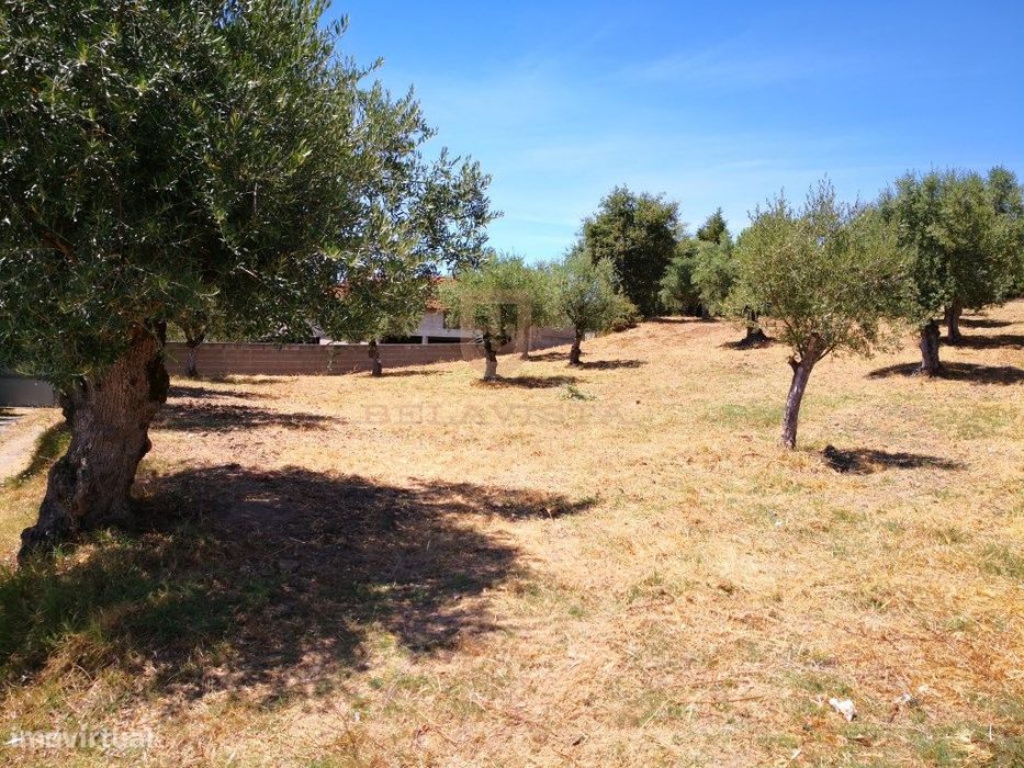 Excelente terreno para construção com boa fachada - Seiça - Ourem