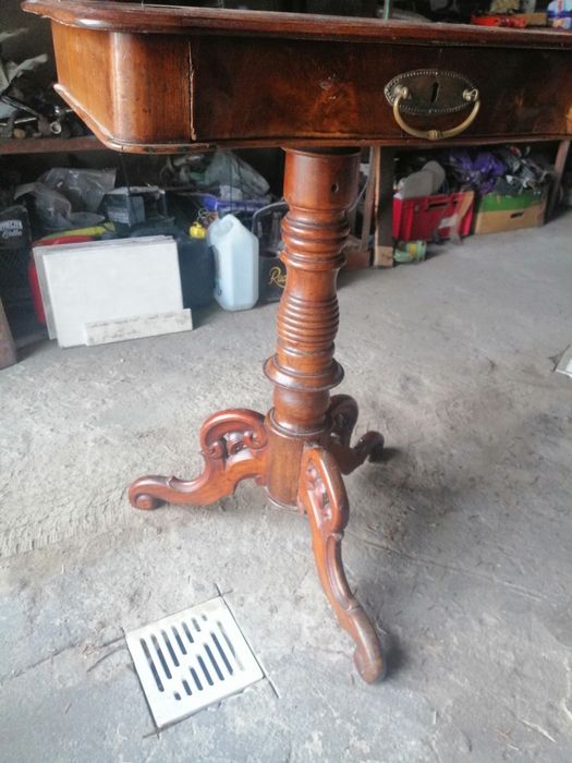 Piękny niciak ludwik filip