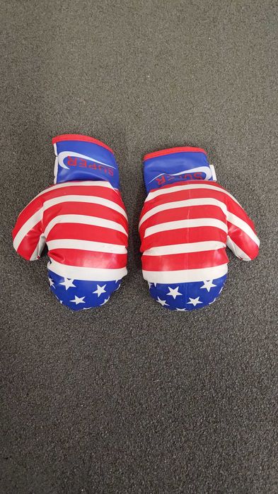 Saco de boxe pequeno + luvas