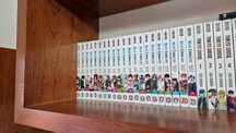 Blue Exorcist - Volumes 1 - 21