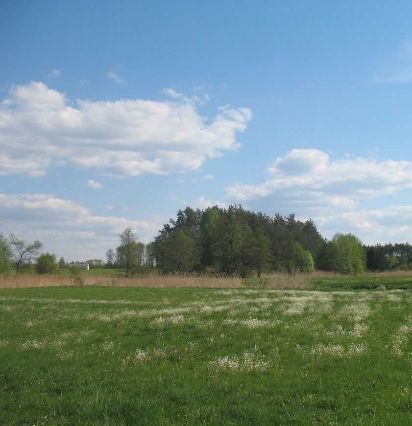 Ділянка у Києво-Святошинському районі