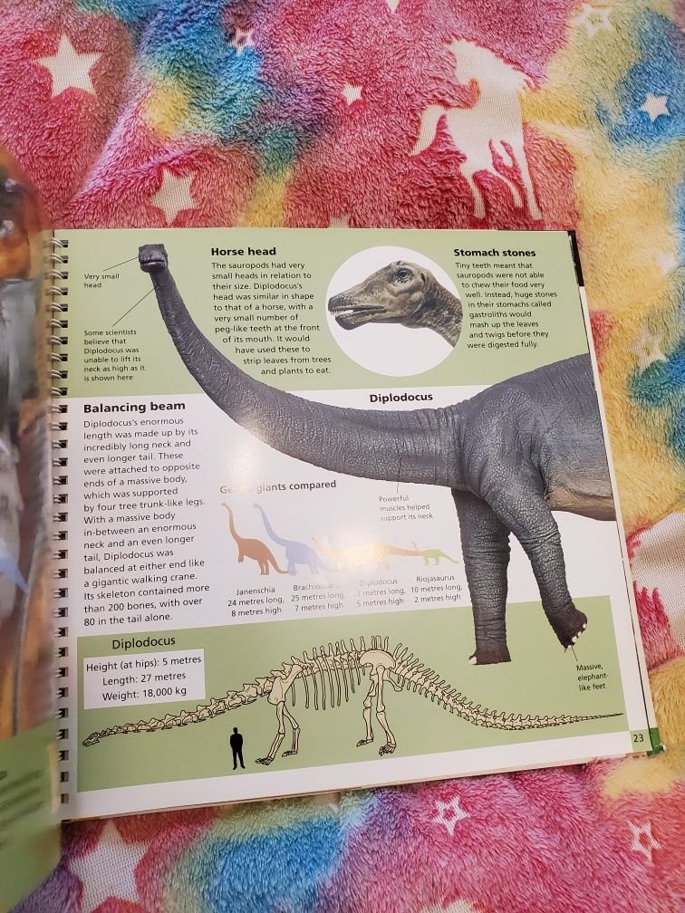 Книга про динозаврів, енциклопедія англійською Dinosaurs encyclopedia