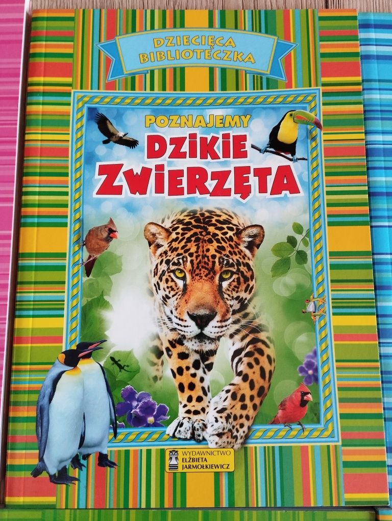 Zestaw książek Dziecięca Biblioteka jak nowe