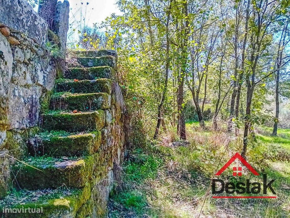 Terreno com 33.000 metros quadrados,  adjacente ao Rio Mondego no cora