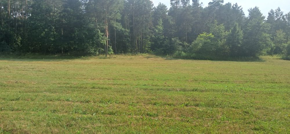 Sprzedam działkę w miejscowości Borów gm. Annopol