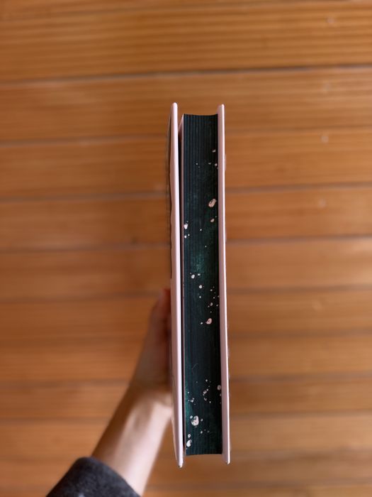 Книга Веріті Коллін Гувер