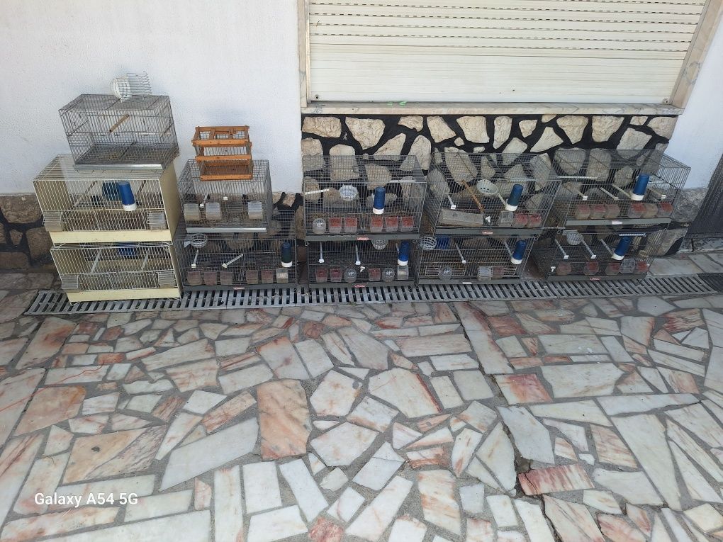 Gaiolas de criaçao pedro's