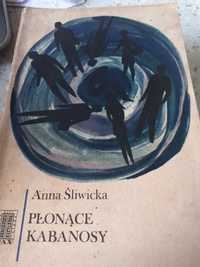 Płonące kabanosy. Anna Śliwicka.