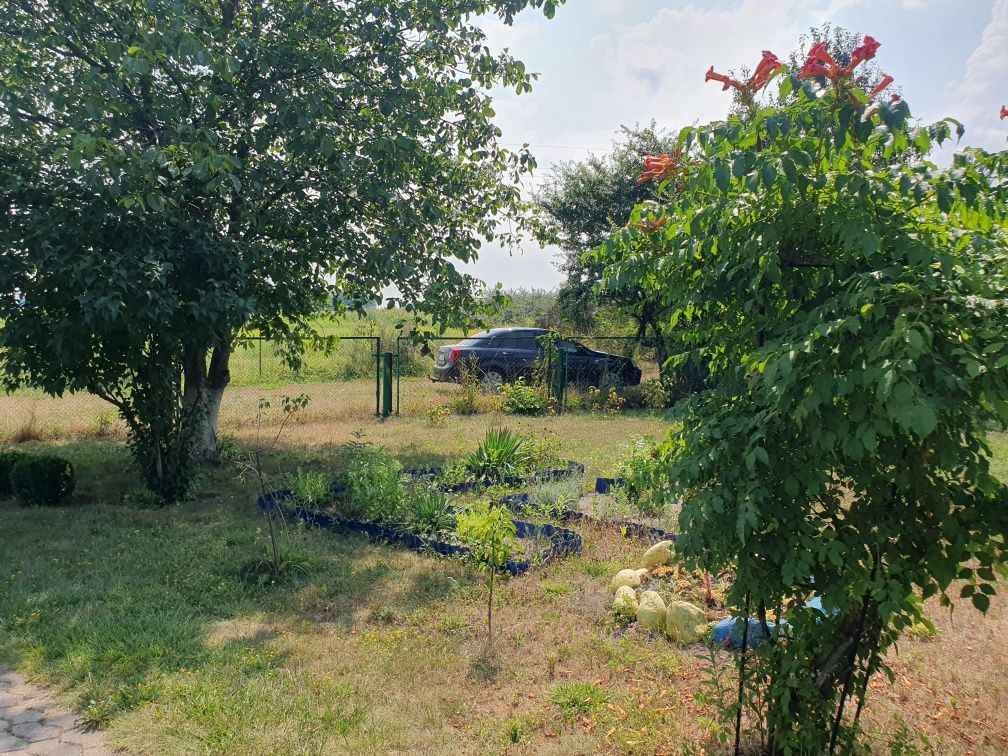 Продам будинок Підлісся