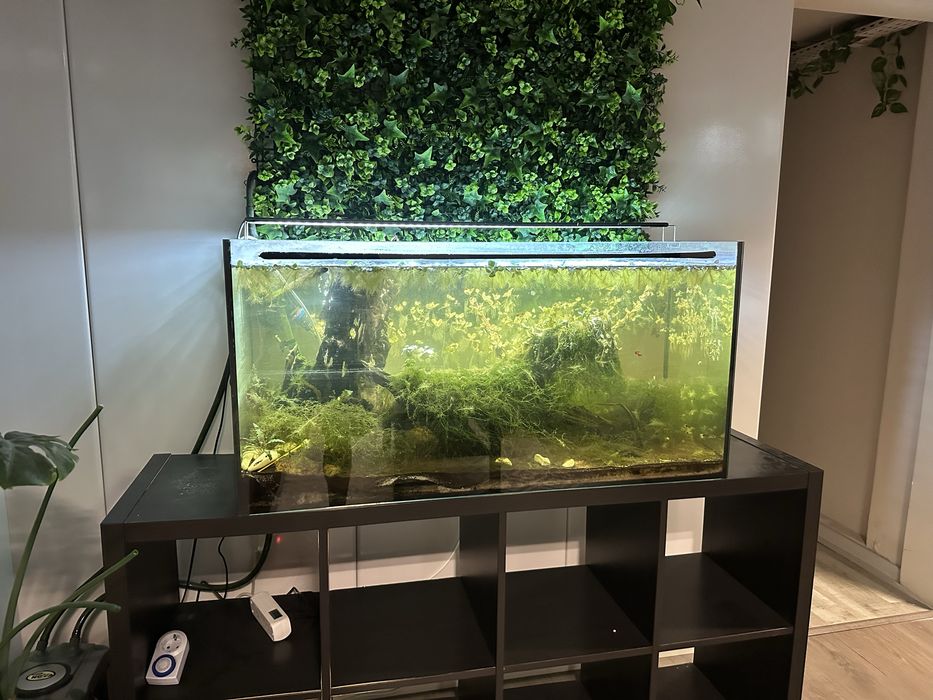 Aquário 1m completo c/ LED + acessórios — despachar em Gondomar
