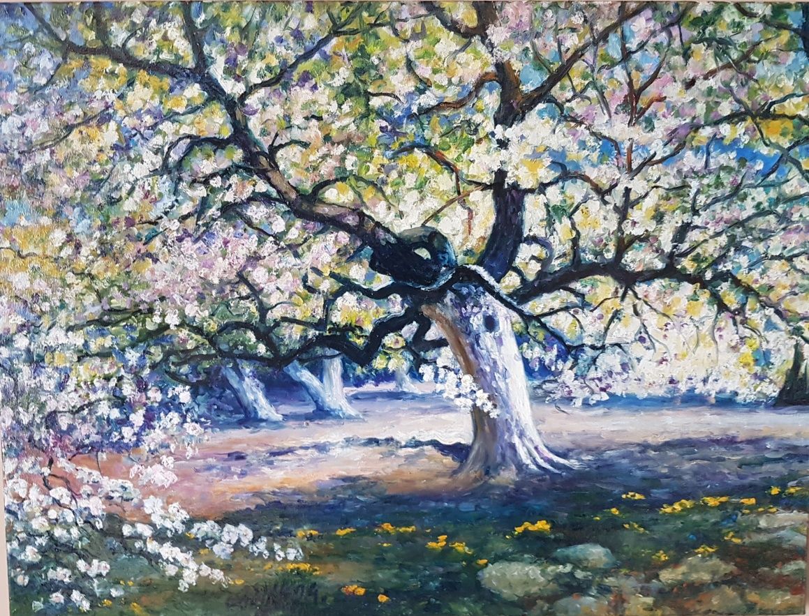 Obraz olejny  Kwitnąca Jabłoń