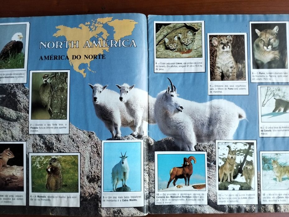 Caderneta Animals of the World - Panini