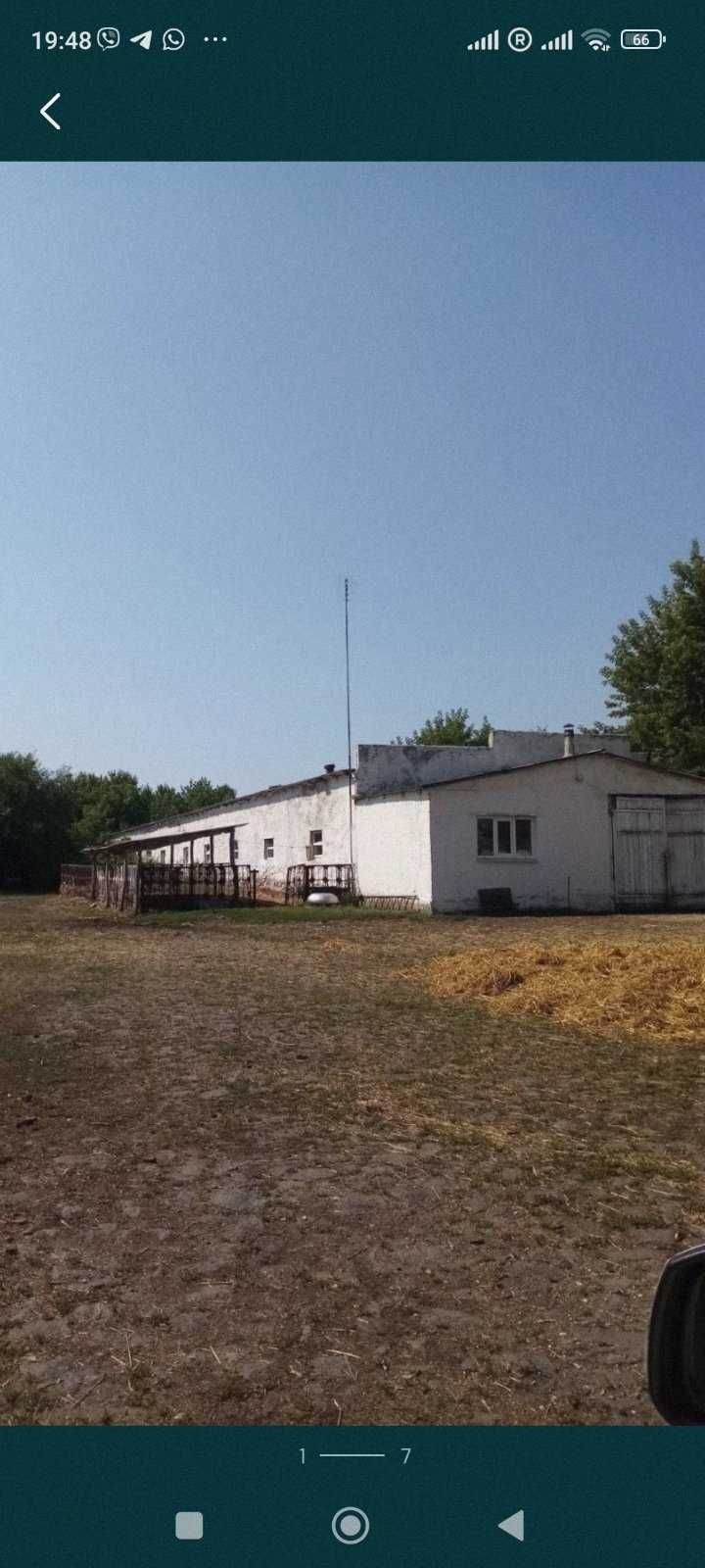 Продам приміщення ферми 800 кв.м біля Шполи, ділянка 1,1 га
