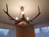 lampa z rogów jelenia