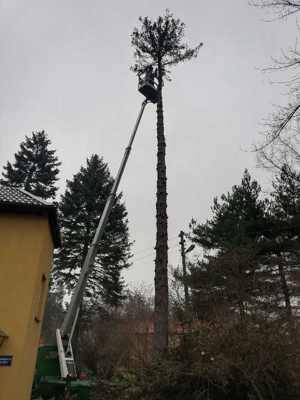 Usługi zwyżką. Podnośnik koszowy. Wycinka drzew. Rębak. Częstochowa