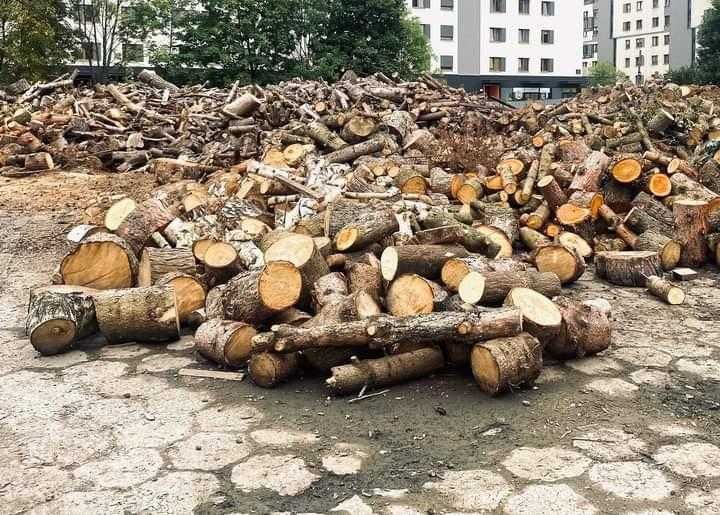 Drzewno opałowe, zrębka i blaty z litego drzewna