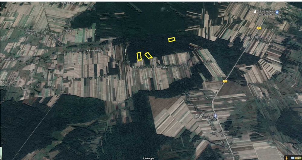 Las, działki leśne - na sprzedaż