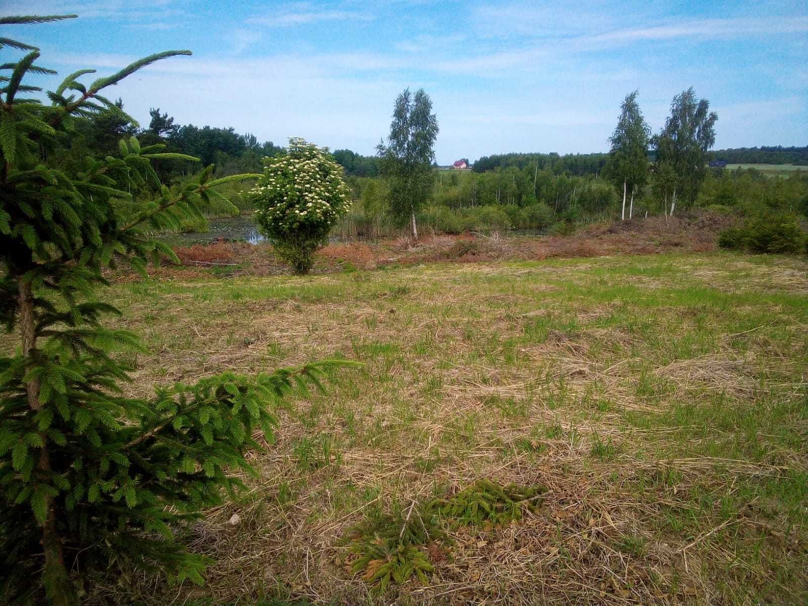 Działka  z pięknym stawem
