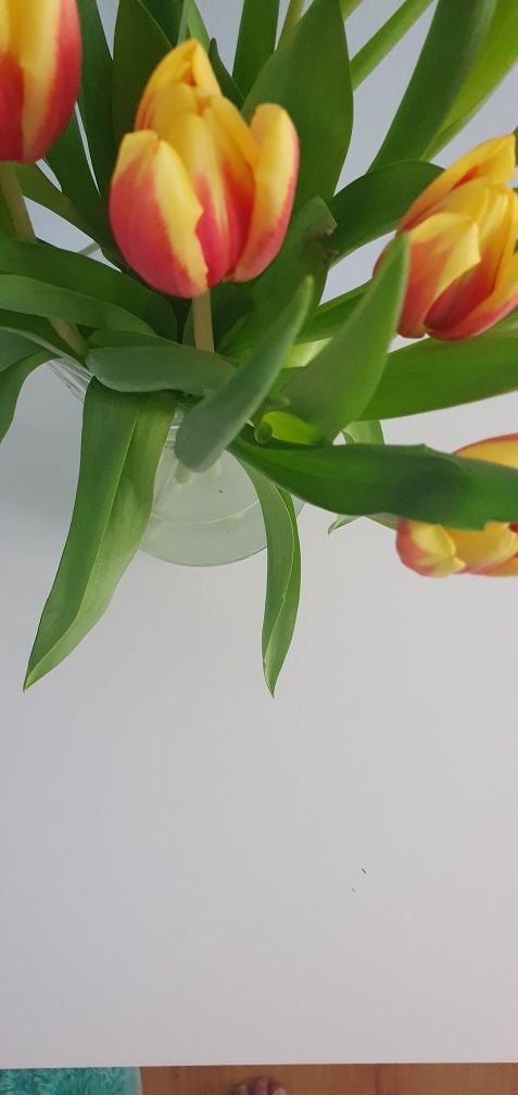 Stolik nocny IKEA używany