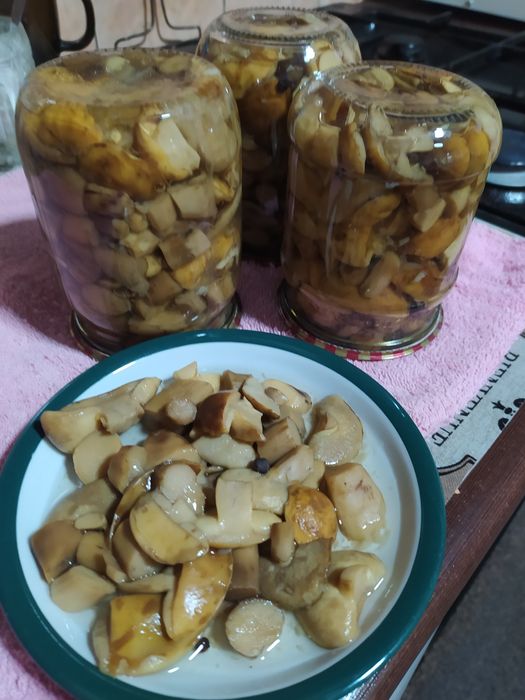 Продам мариновані польські грибочки