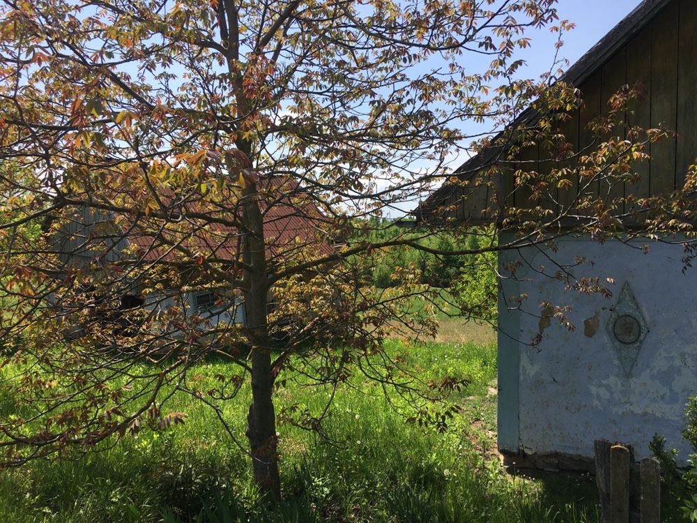 Продається райський куточок під дачу або забудову